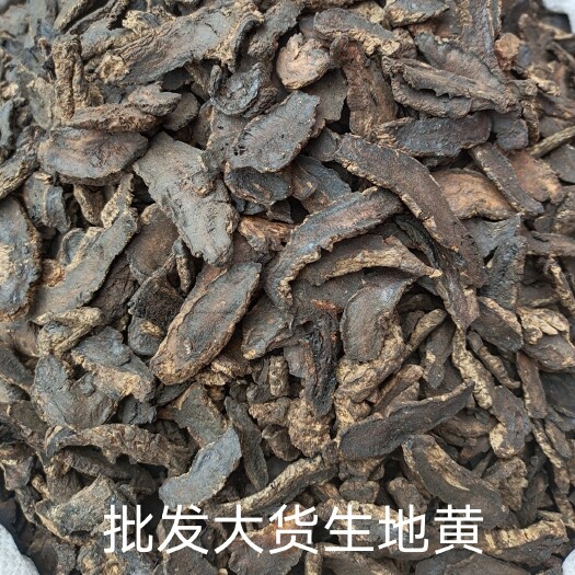 亳州干地黄  批发大货生地黄 供应饮片厂 生地黄 地黄个 各种规格