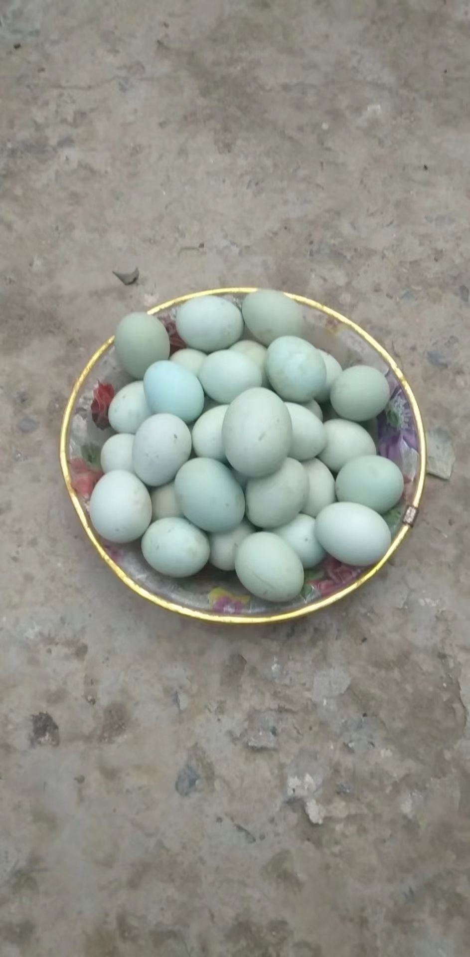 高唐县草鸡蛋 绿壳笨鸡蛋，散养公鸡。
