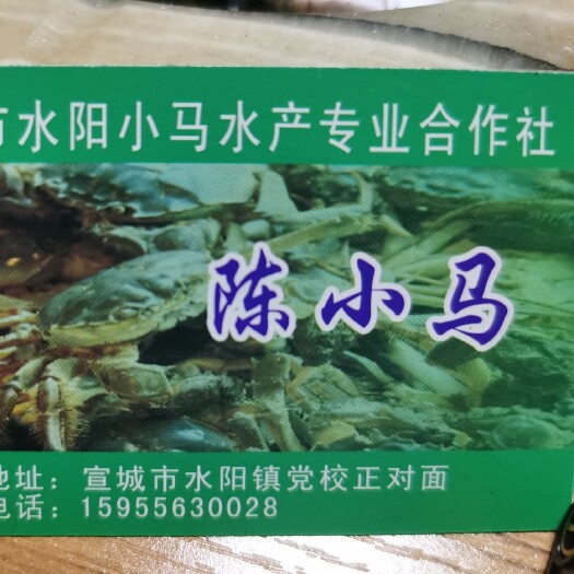 宣城大闸蟹苗  货源充足，质量保证 大母本 ，欢迎采购，我的蟹苗你的财富