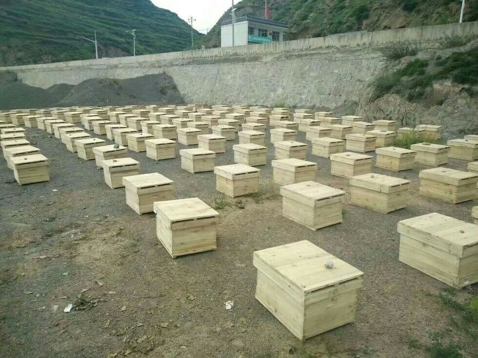 大量批发出售中蜂土蜂蜜 纯净 假一赔十