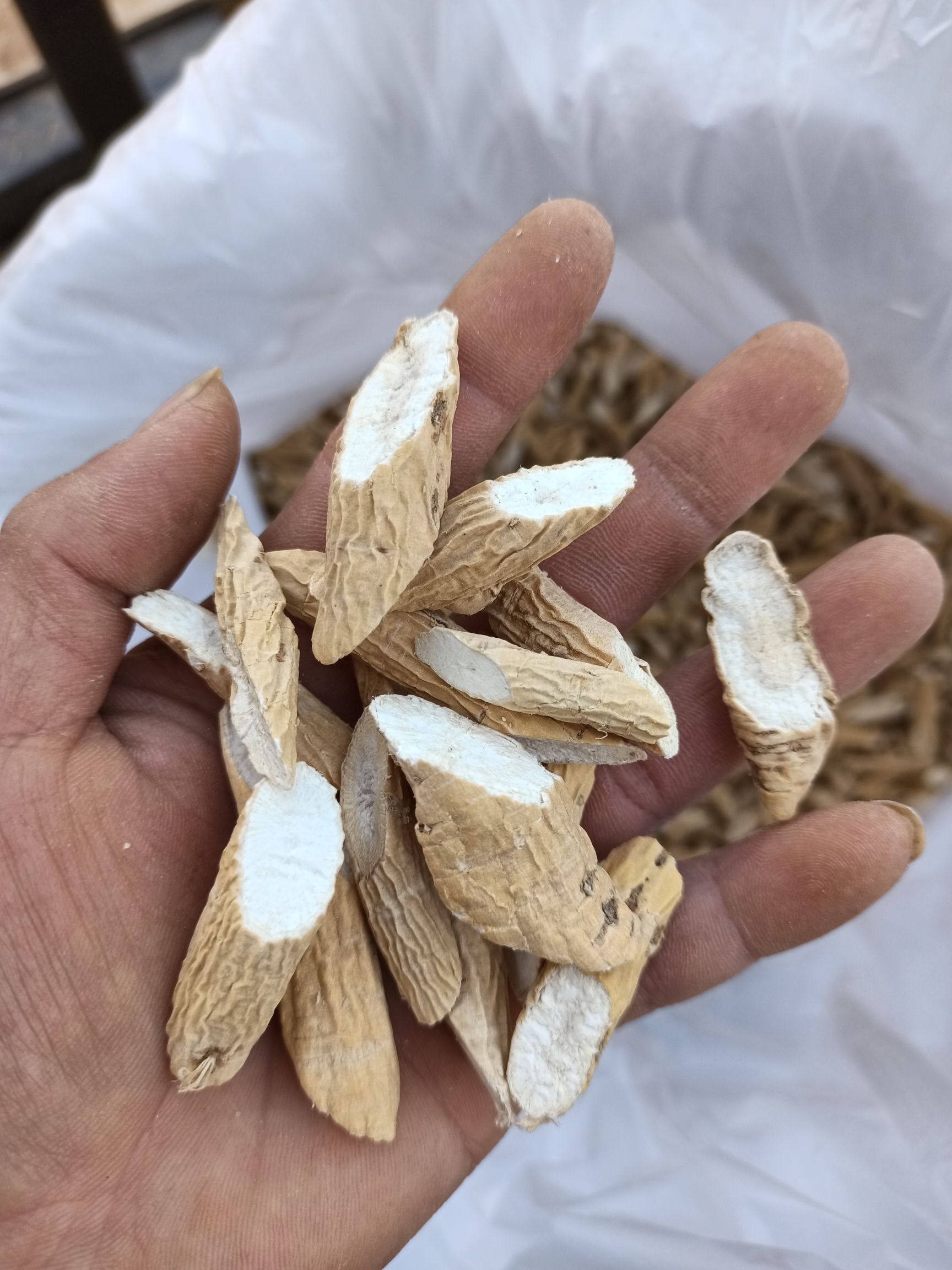 牛大力  无硫干片 天然晒干 纯手工切片 粉片 根片都有货