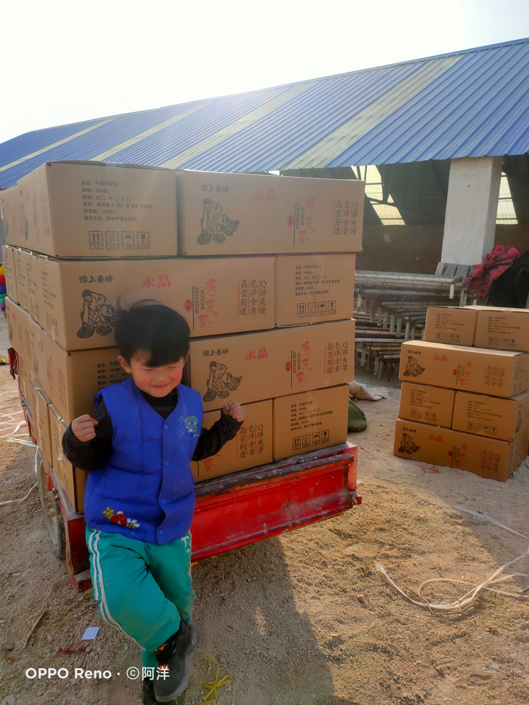 鹌鹑皮蛋  鹌鹑小变蛋 晶莹剔透 金黄透亮