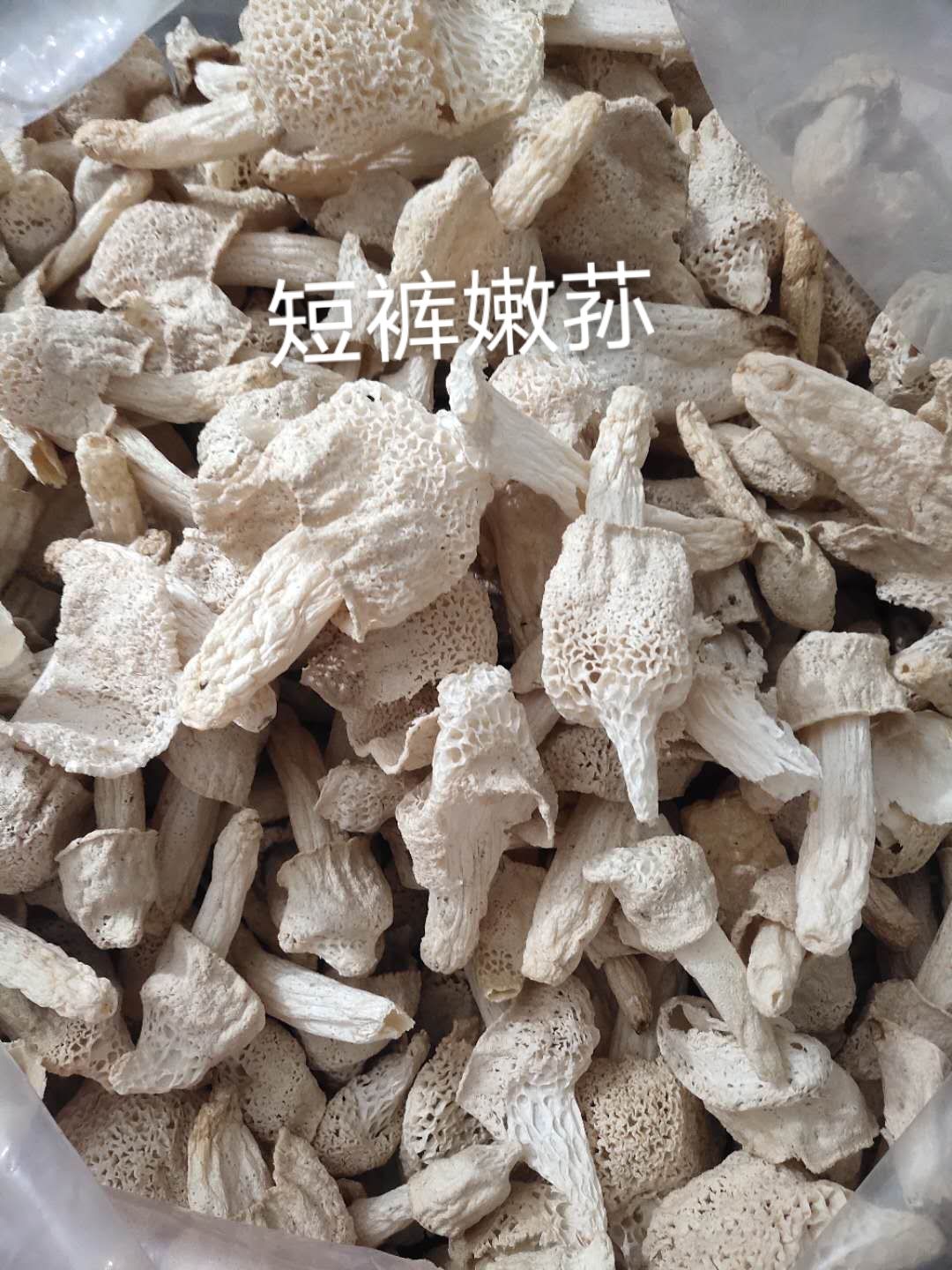 冬荪  货好 货干 肉厚  好好好好好好好好好好好好好好好好好好好好