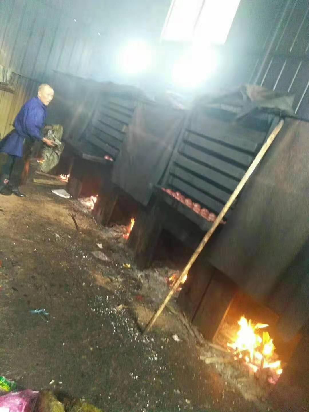 猪血丸子 6-12个月