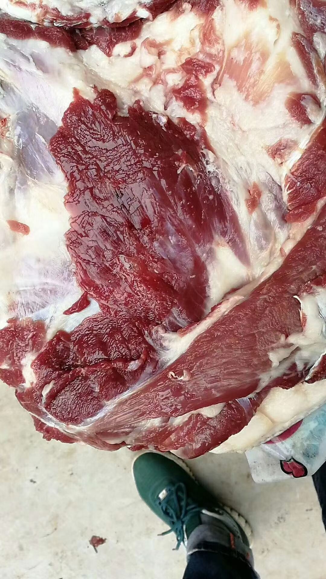 藏香猪肉  大批供应藏香猪年猪，藏香猪新年礼盒装