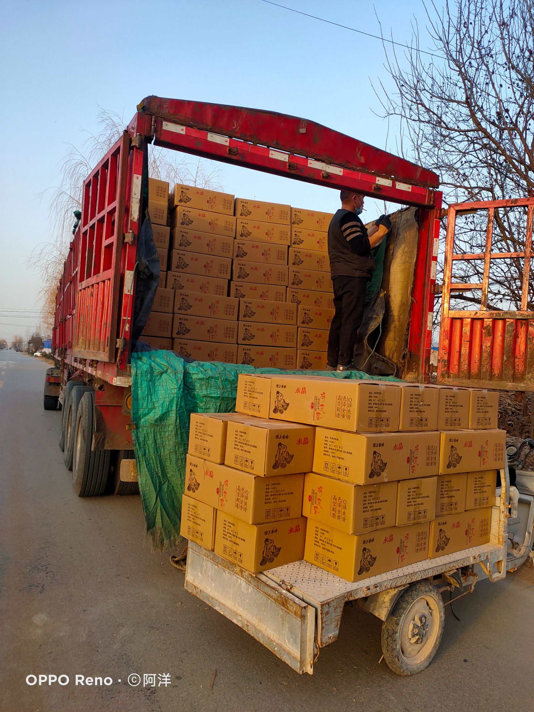 鹌鹑皮蛋  鹌鹑小变蛋 晶莹剔透 金黄透亮