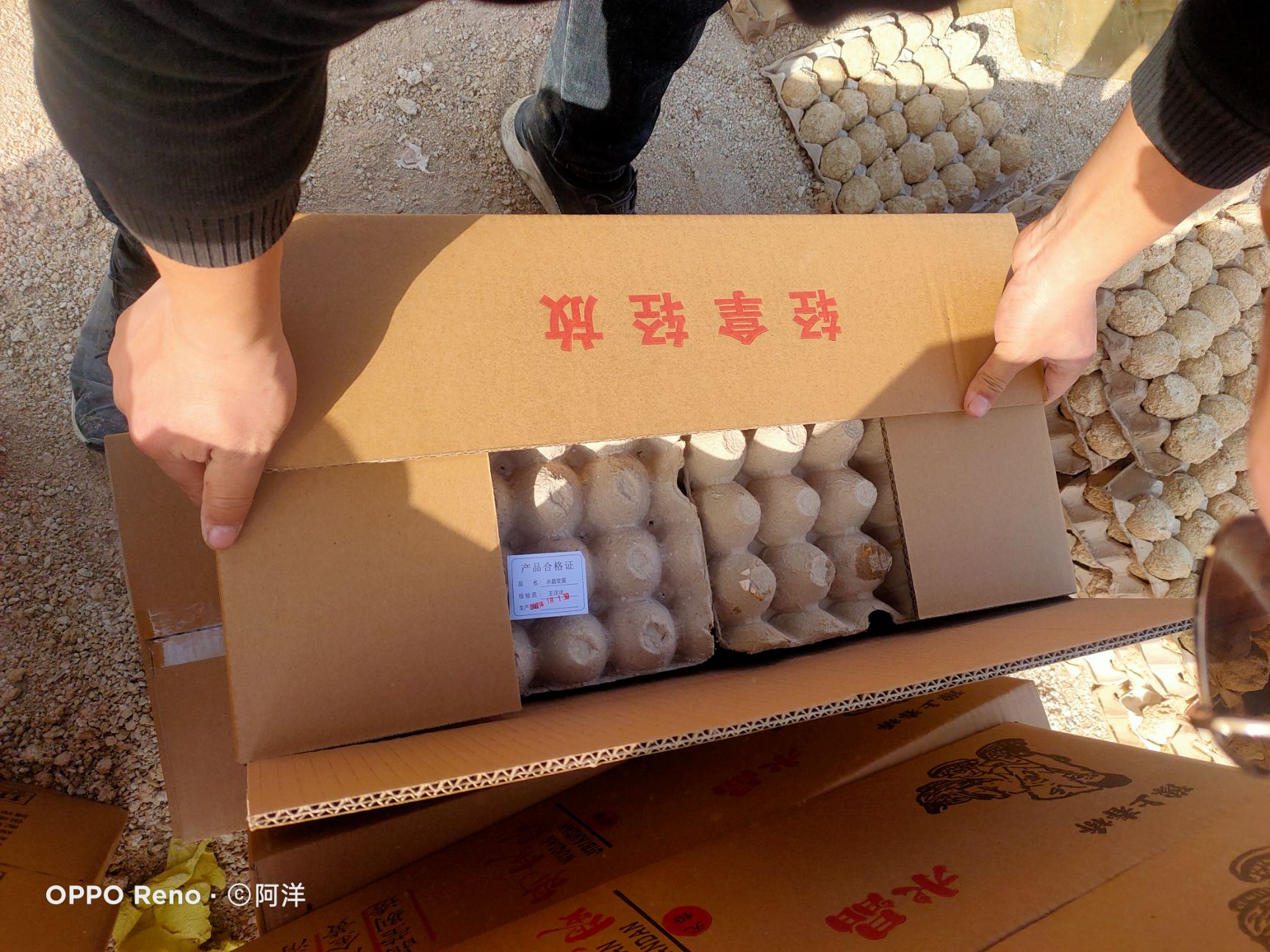 鹌鹑皮蛋  鹌鹑小变蛋 晶莹剔透 金黄透亮