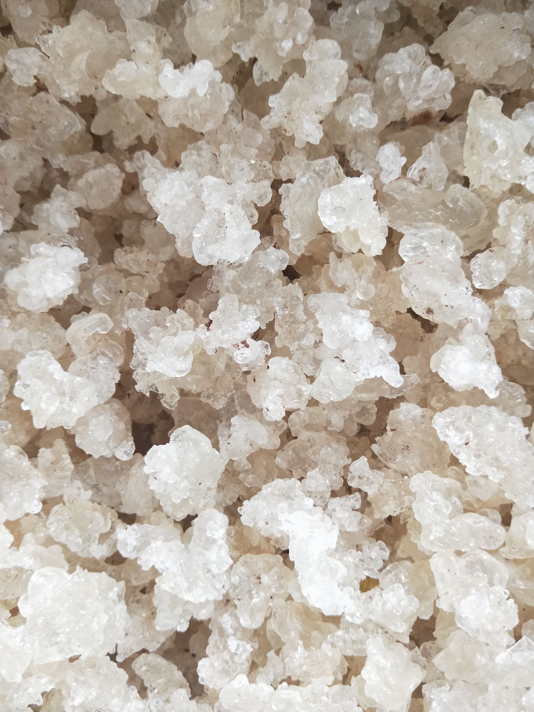 天然拉丝雪燕     一手货源     大货批发