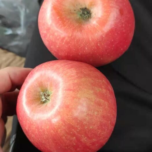 阿克苏市阿克苏冰糖心苹果  阿克苏糖心苹果，味香色俱全是广大人民群众水果之一