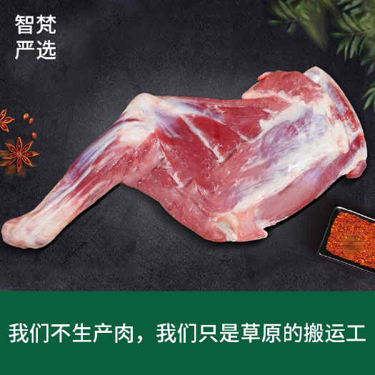 乌鲁木齐羊肉类 新疆巴什拜草膘羔羊前腿