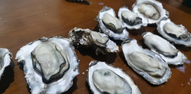 山东乳山牡蛎 生蚝牡蛎