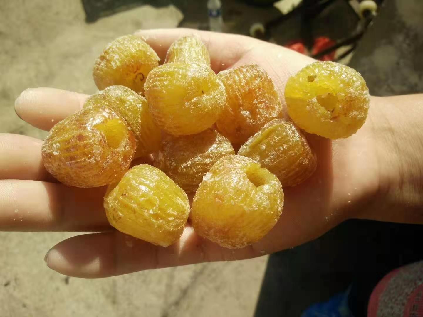 赞皇大枣  金丝蜜枣，沧州特产。色泽金黄，颗粒饱满，十几年加工经验。