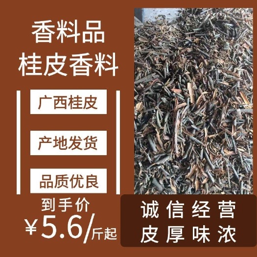 平南县肉桂  桂碎