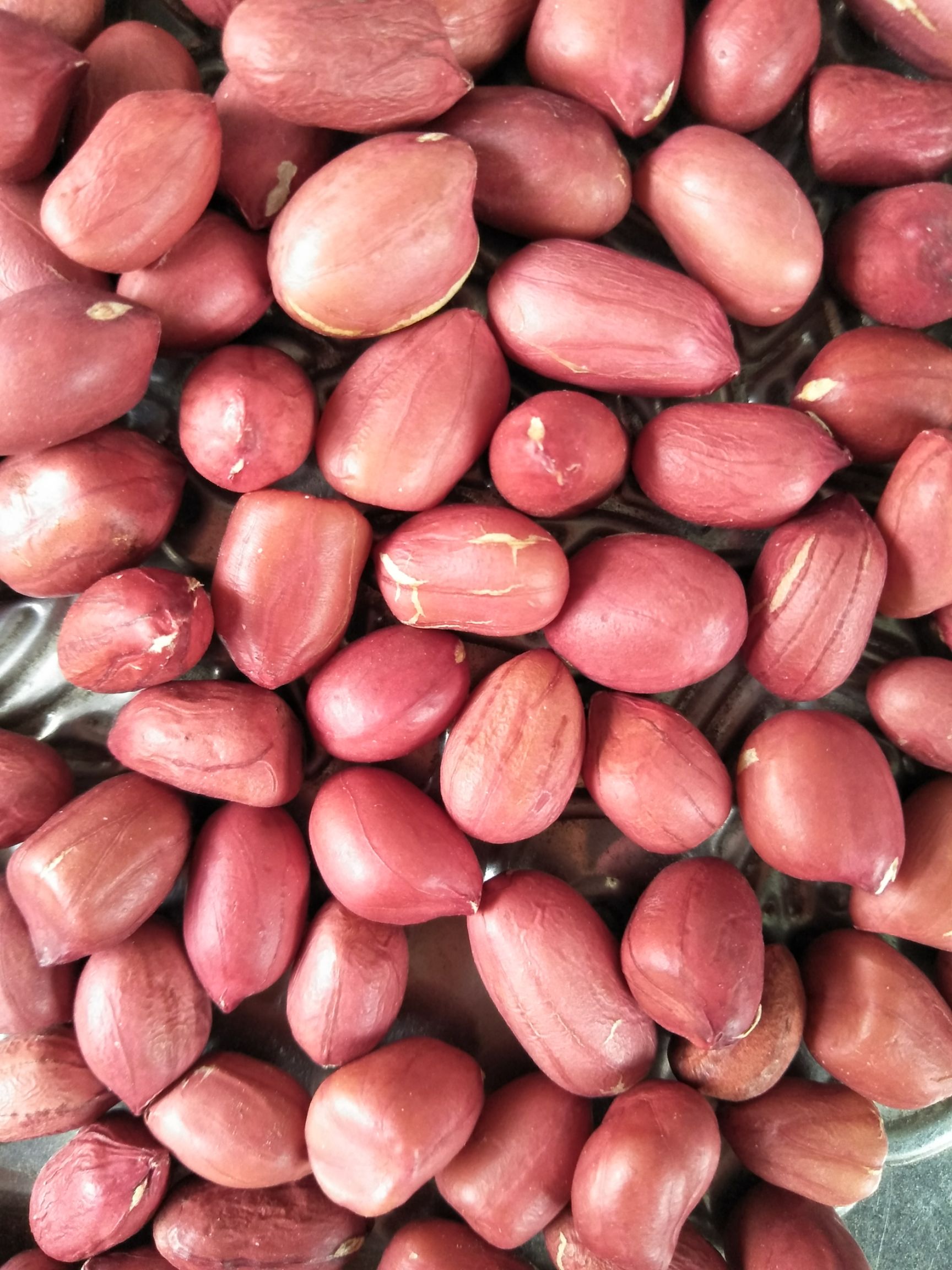 红皮花生  花生