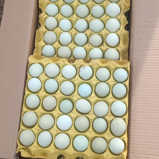 鹿邑县乌鸡蛋 食用 箱装