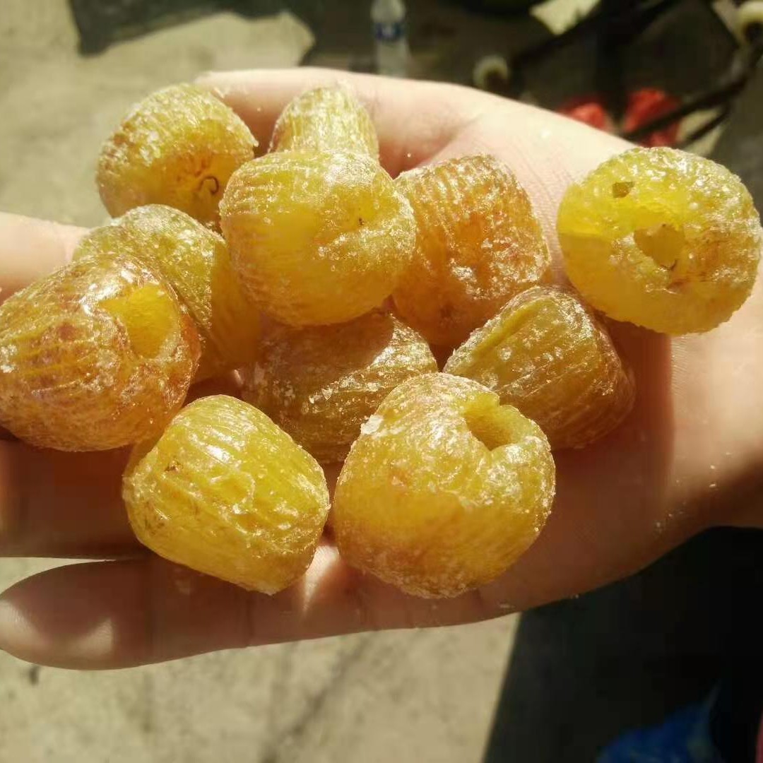 赞皇大枣  金丝蜜枣，沧州特产。色泽金黄，颗粒饱满，十几年加工经验。