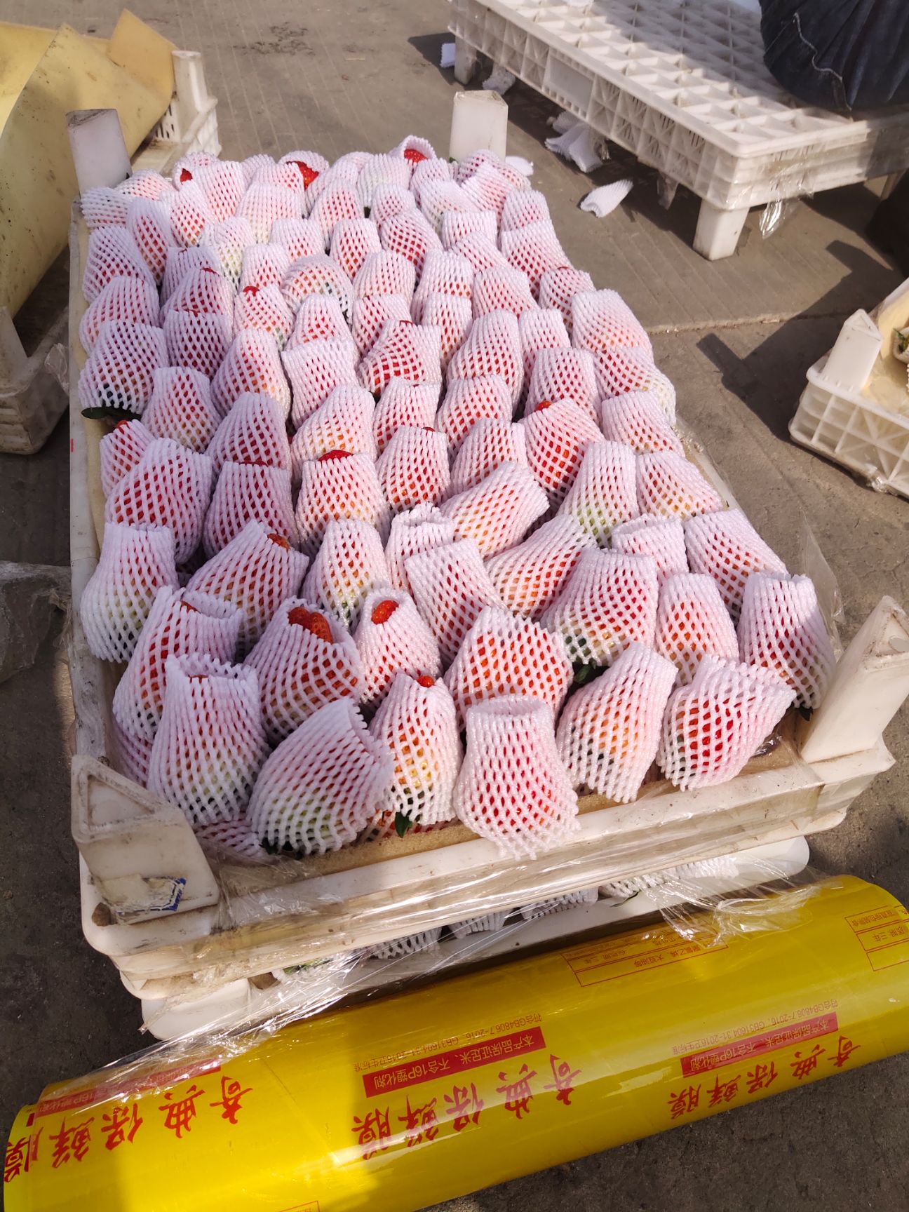 红颜草莓  合肥长丰县产地直发