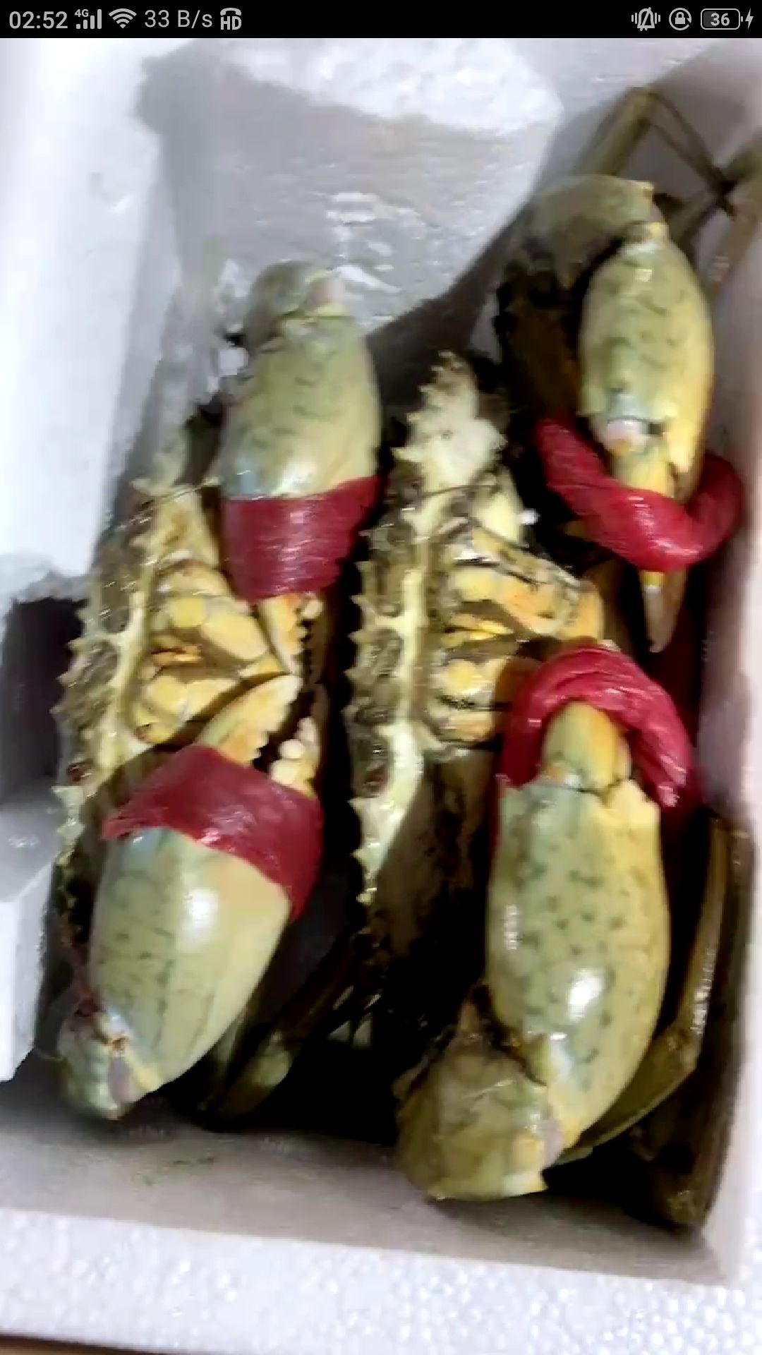 红膏蟹，半斤以上。寄活的。红膏