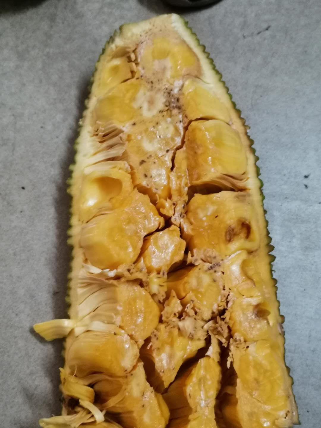 菠萝蜜越南菠萝蜜，自家种植，自产自销，欢迎老板咨询