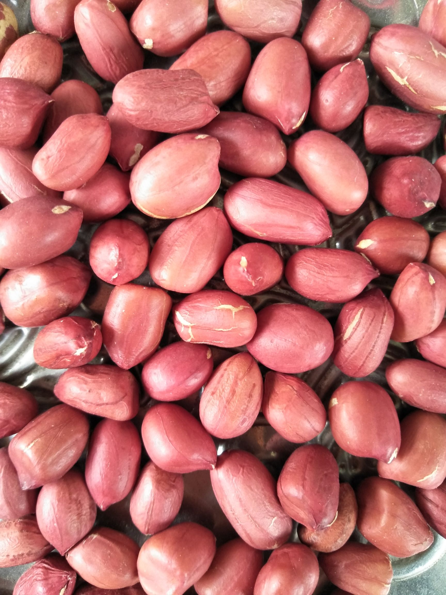 红皮花生  花生