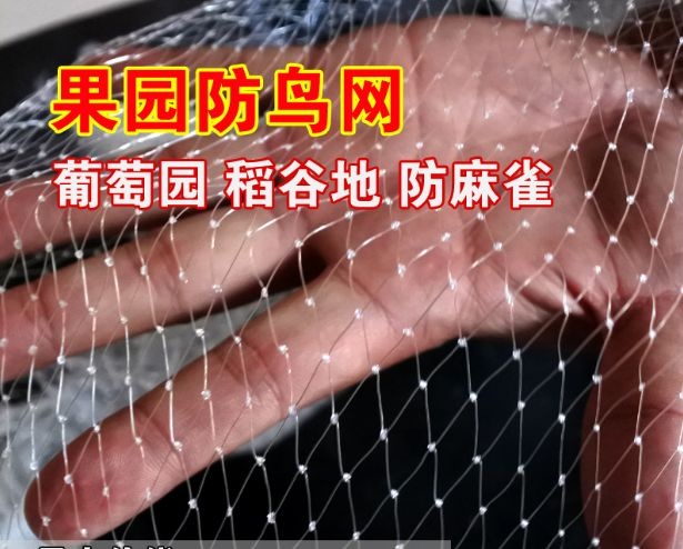 惠民县防虫网  育苗防护资材  防鸟网