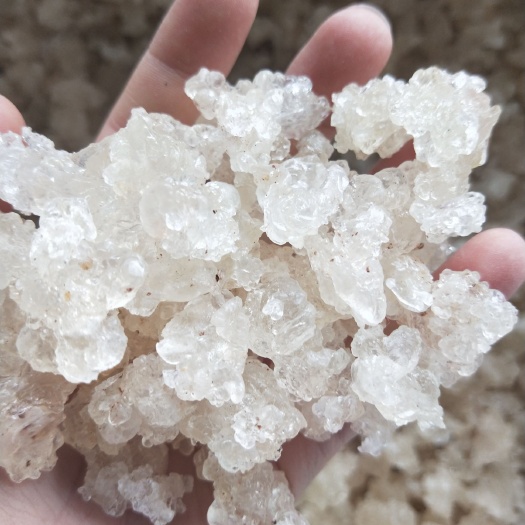 瑞丽市天然拉丝雪燕     一手货源     大货批发