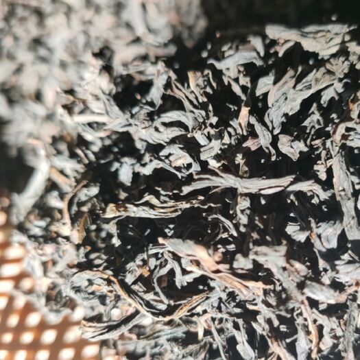 南靖县大红袍  铭楼茶业专业合作社，自家茶山茶厂十几年制茶师曾剑峰制作