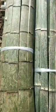 衡阳 竹片！菜架竹！欢迎欢迎订货！