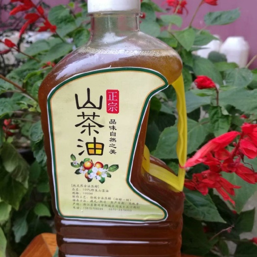 衢州压榨山茶油 压榨法 