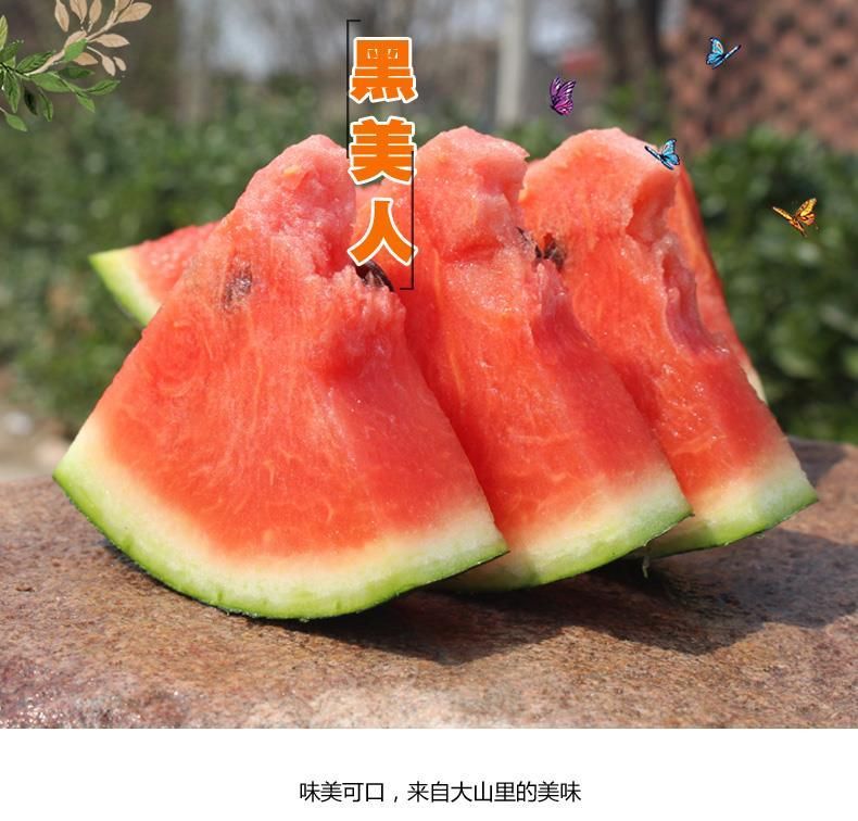 当季黑美人西瓜水果红瓤薄皮甜瓜整个包邮