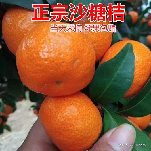 沙糖桔甜蜜蜜，果汁好，香味持久，