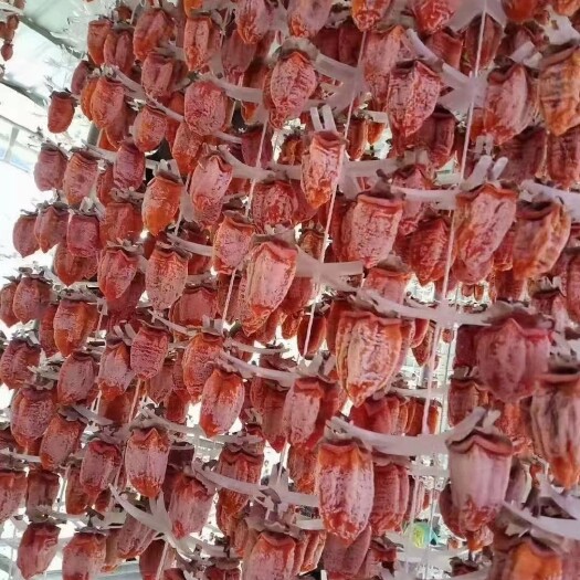 富平县富平柿饼 3-6个月 