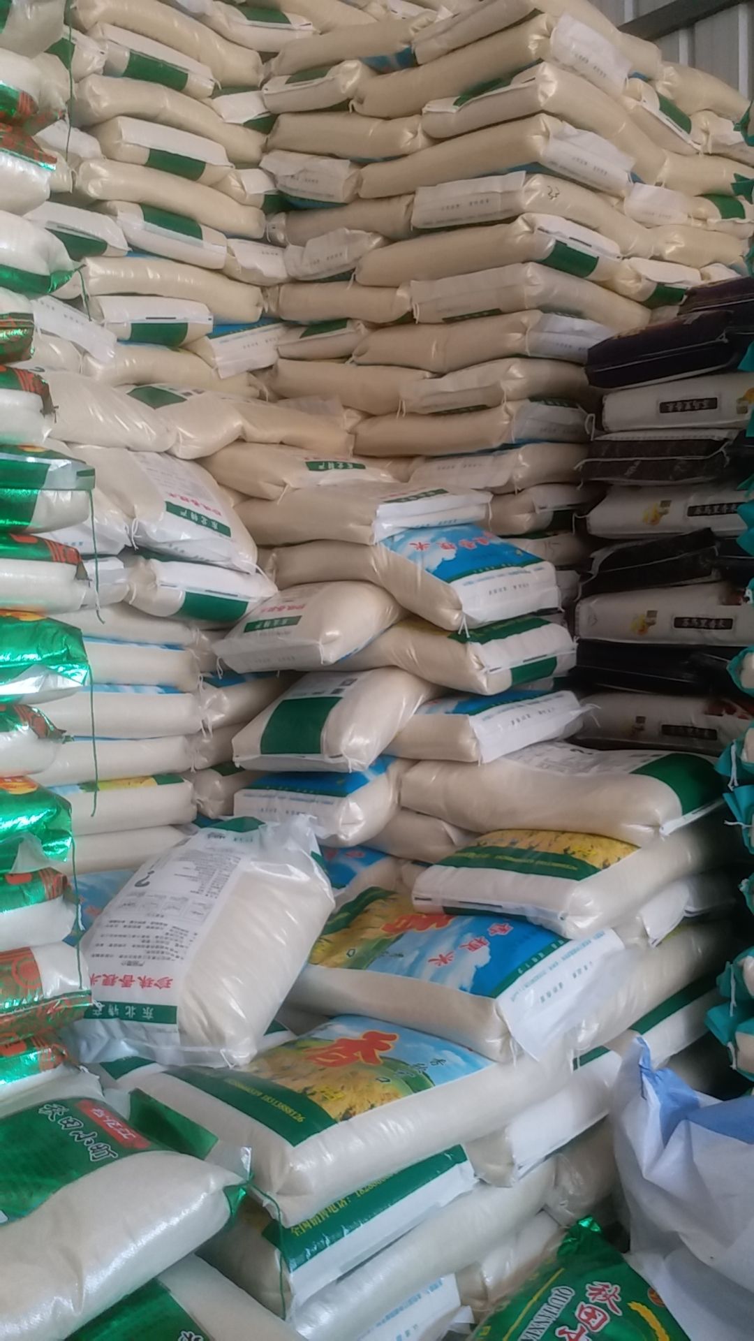 秋田小町大米 秋田小町米，稻花香米，大量批发直销