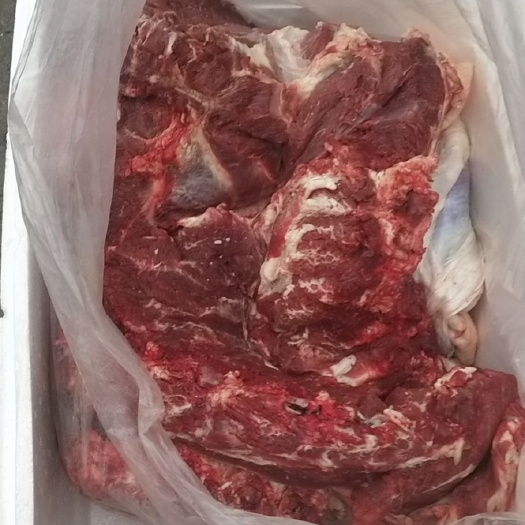 牛肉类 牛肉，剔骨小公牛肉，散养
草膘牛肉