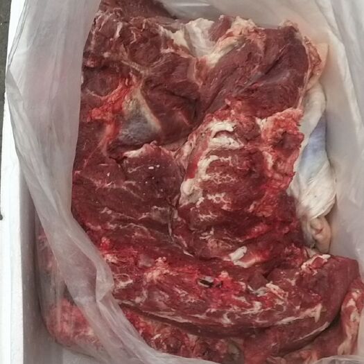 伊宁市牛肉类 牛肉，剔骨小公牛肉，散养
草膘牛肉