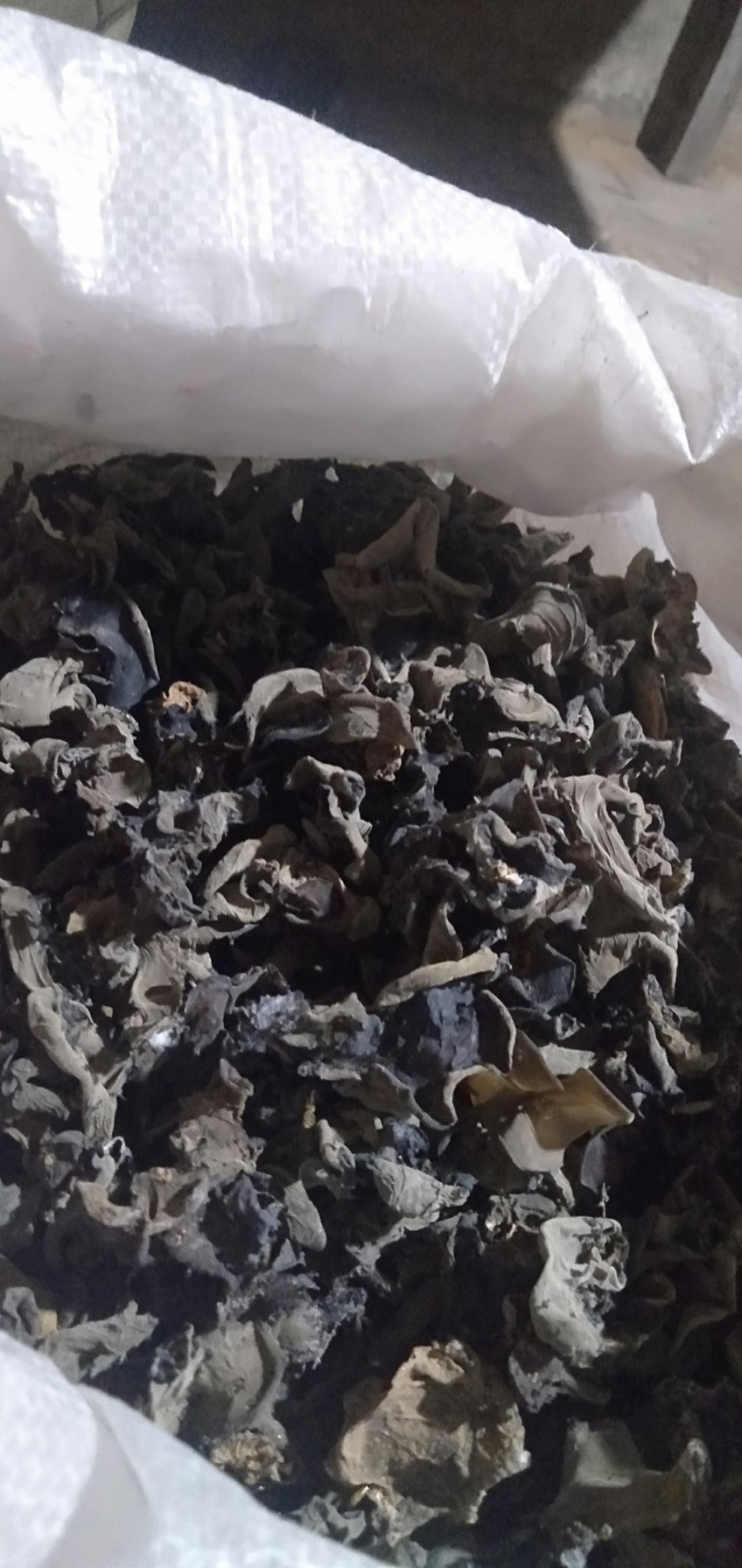 黑木耳  商於优质农产品