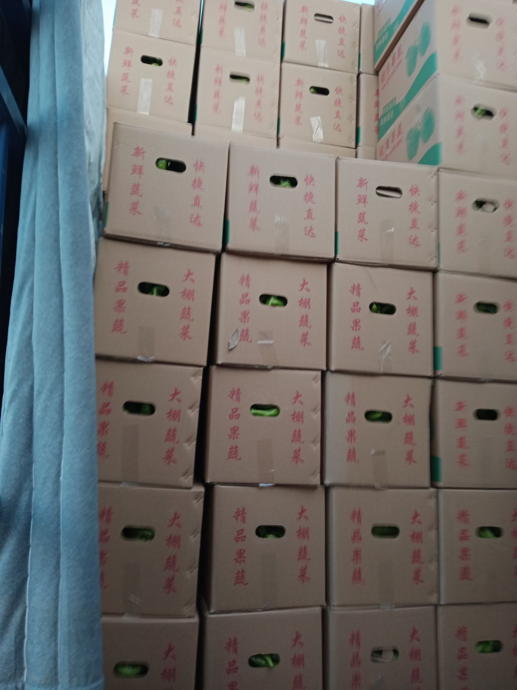 福建漳州诏安，精品黄皮辣椒，螺丝椒，富晒产地，无污染，无农药