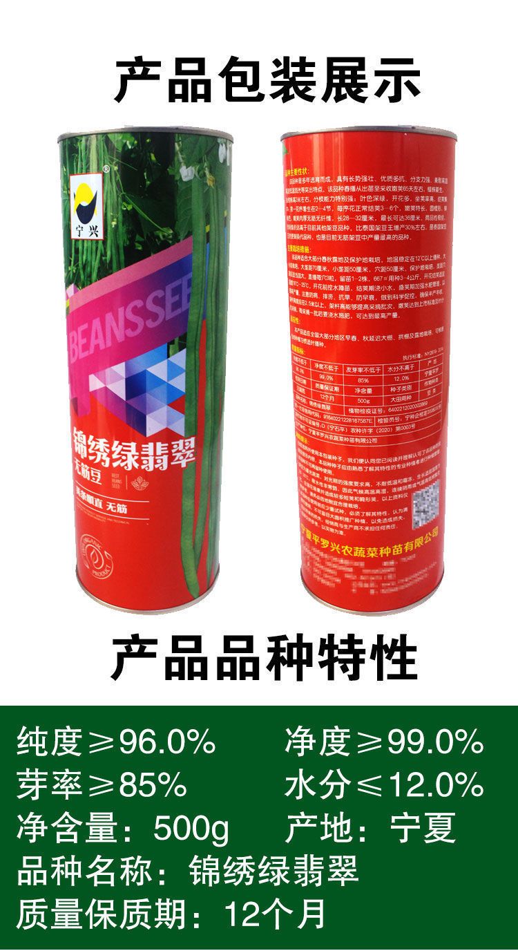 四季豆种子  锦绣绿翡翠架豆角种子四季无筋无柴芸豆种籽
