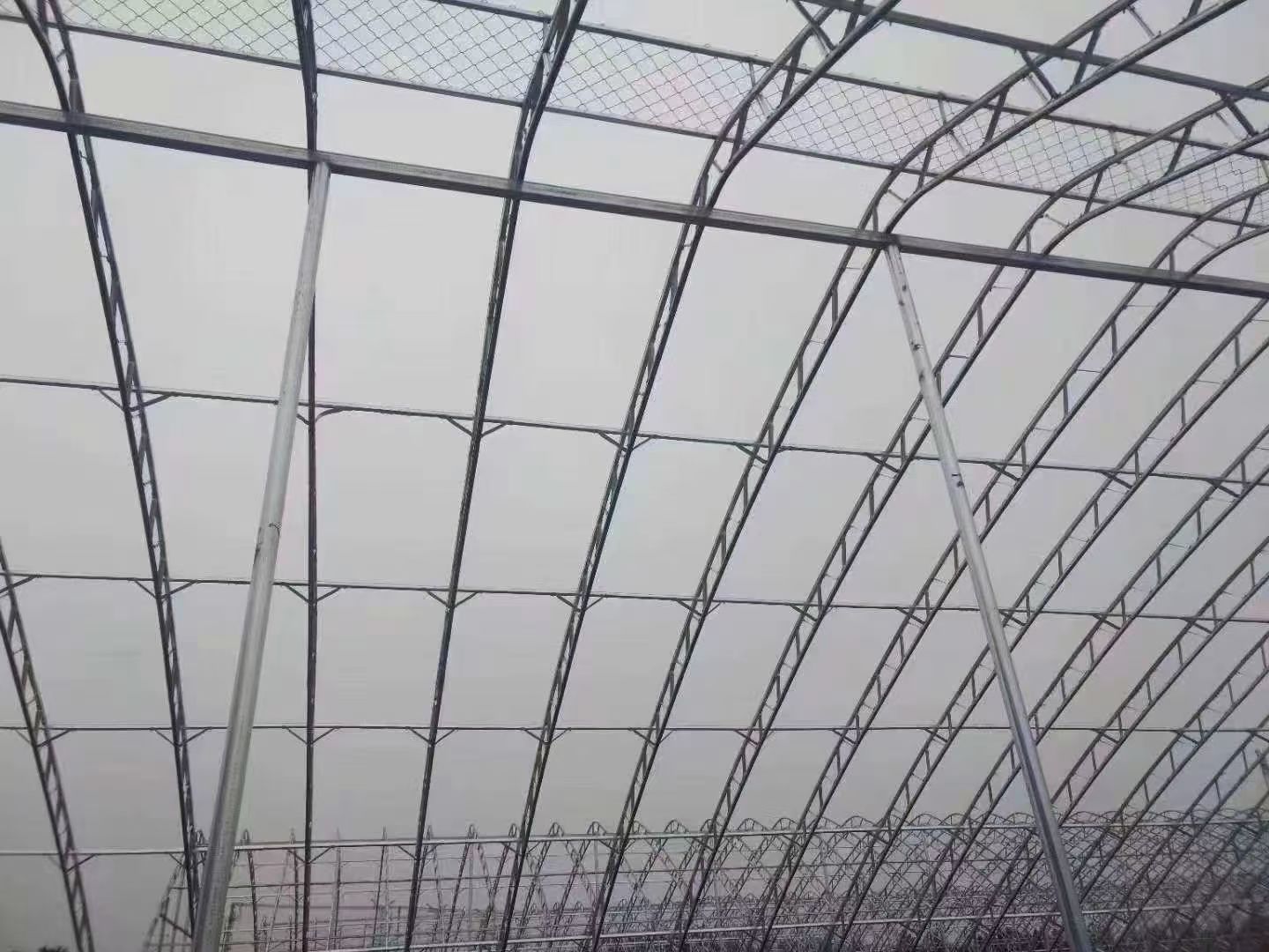 单体温室大棚  c型钢大棚 双模骨架大棚 几字钢大棚抗压力更好专业设计团队