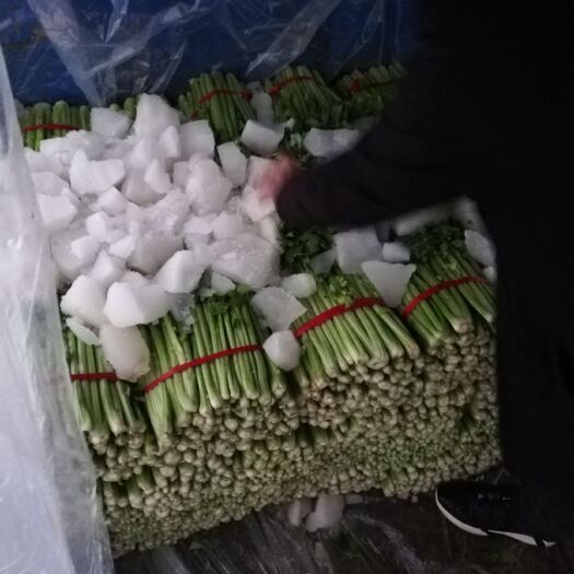 西芹 芹菜