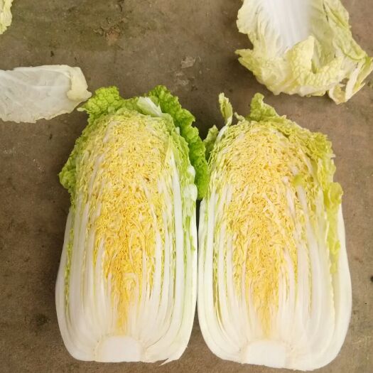 思南县 黄心娃娃菜