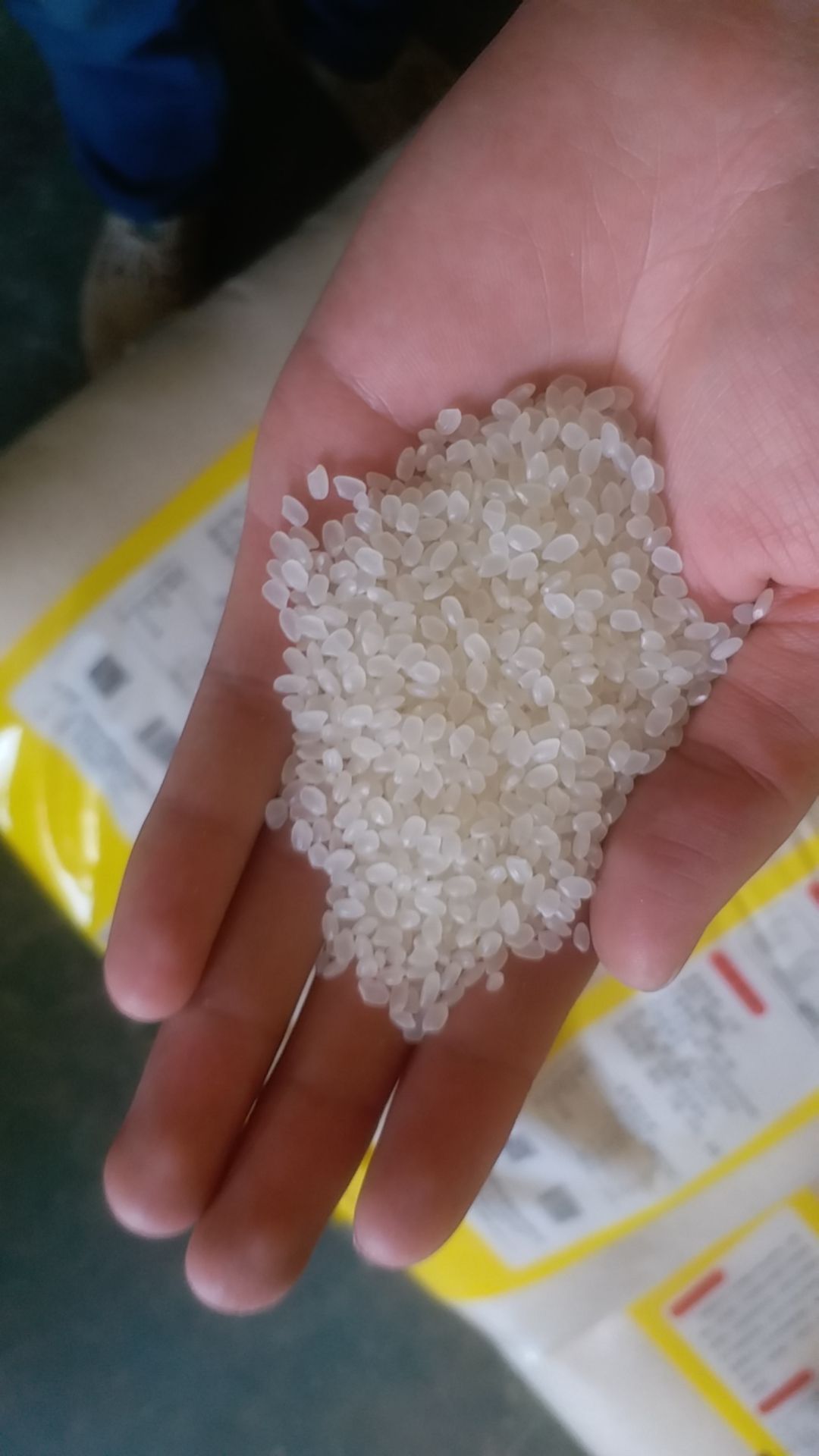 秋田小町大米 秋田小町米，稻花香米，大量批发直销