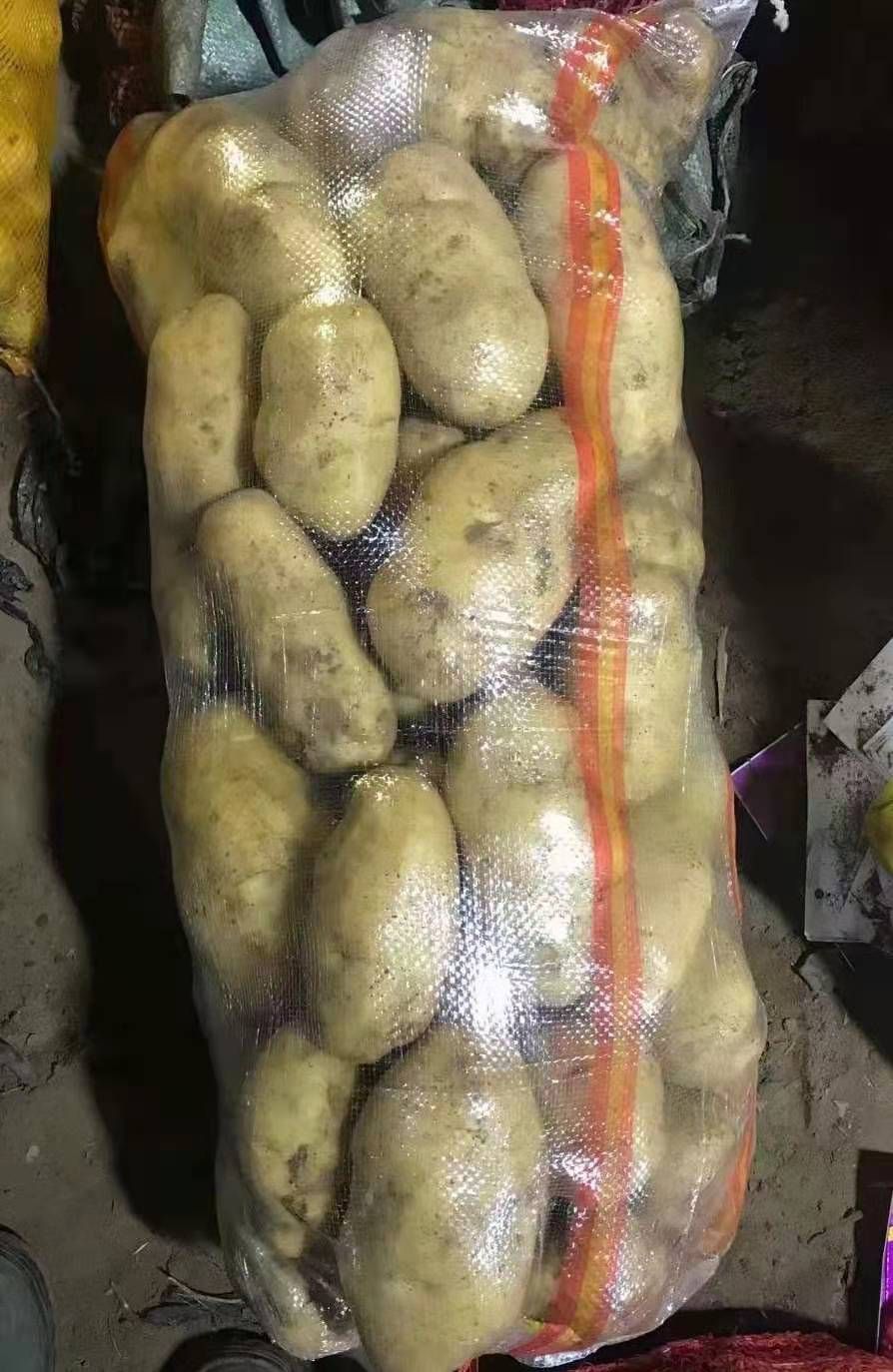 黄心土豆 2两以上