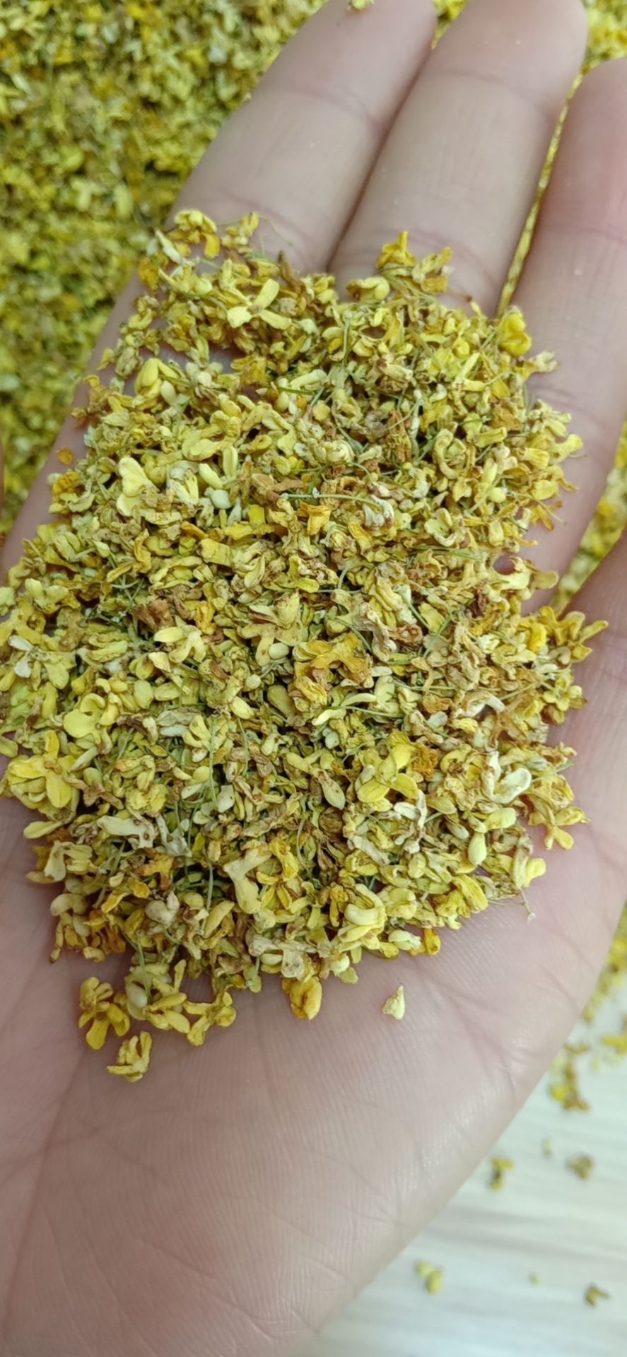 桂花瓣桂花蕊各种品质桂花干广西桂林药食同源桂花茶桂花干糕点