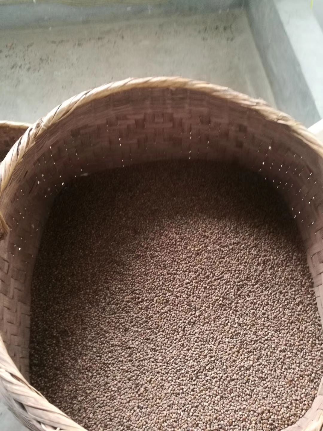 苦荞面 苦荞