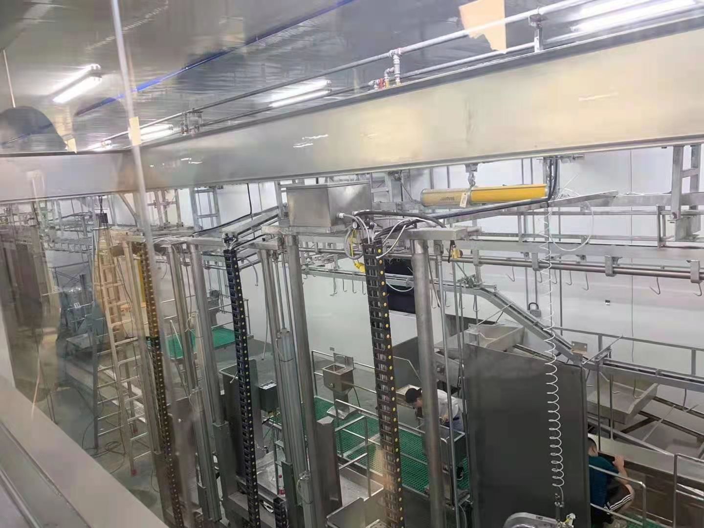 牛肉类  诚康牛肉四分体、十六分体、新鲜牛肉！景洪屠宰场直销、长期稳定