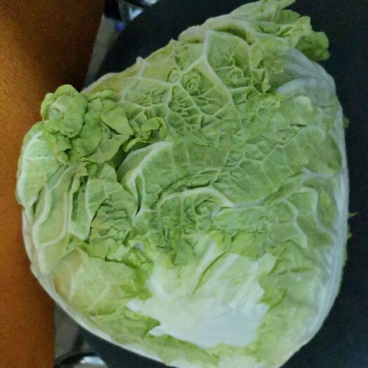 临清市黄心大白菜 个头均匀