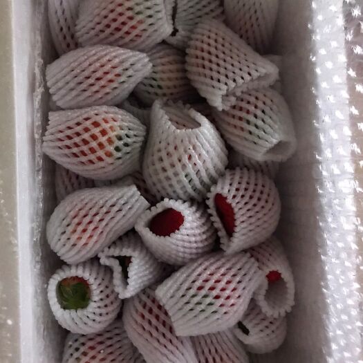 徐州红颜草莓 正宗红颜九九奶油草莓