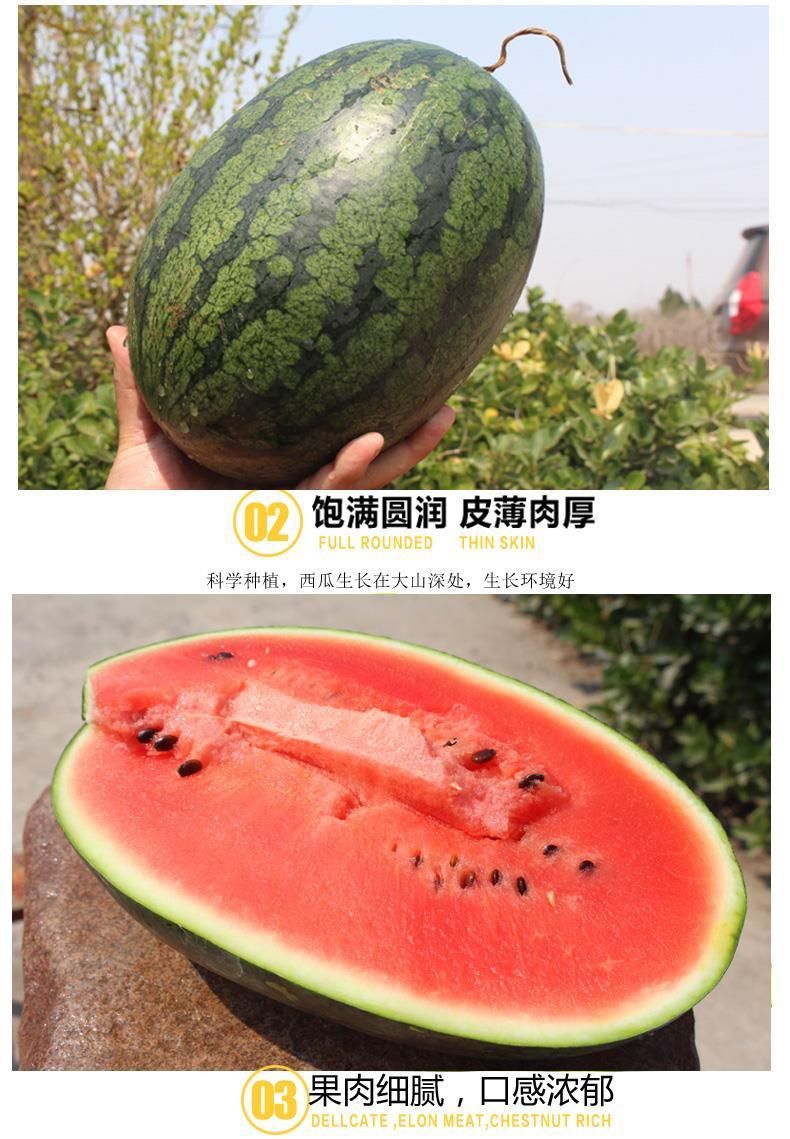 当季黑美人西瓜水果红瓤薄皮甜瓜整个包邮
