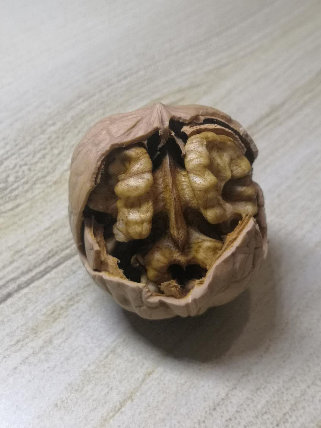 清香核桃 河南灵宝朱阳特产